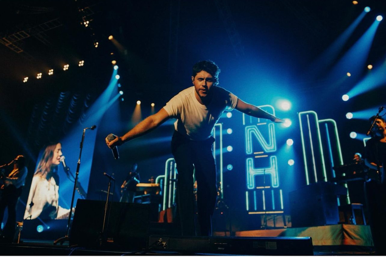 Niall Horan ( foto : istimewa )