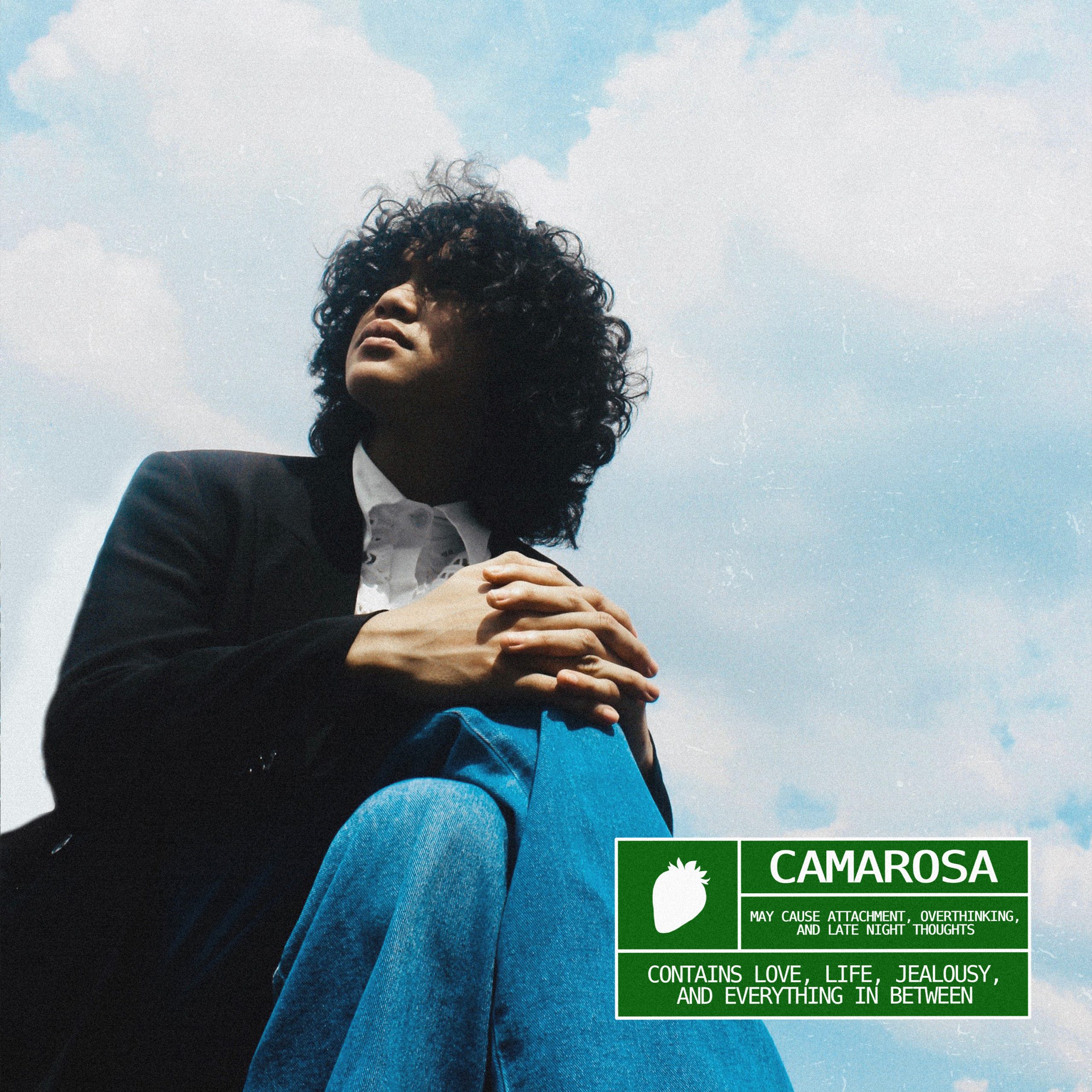 Artwork album Camarosa - Danes ( foto : istimewa )
